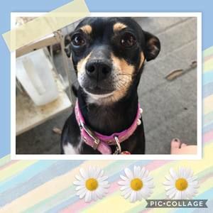 Meet your Posher, Makayla